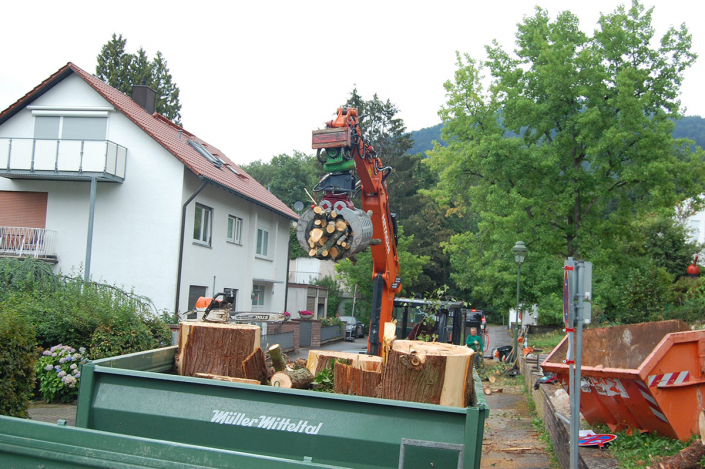 Hasel-Buehl-Baumschneider-Maschinenpark