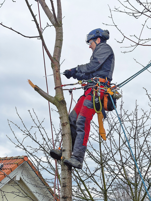 Hasel-Buehl-Baden-Baden-Achern-Rastatt