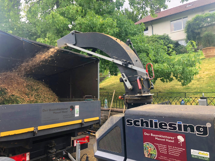 Häckselarbeiten Hasel Baumkletterer Bühl Ottersweier