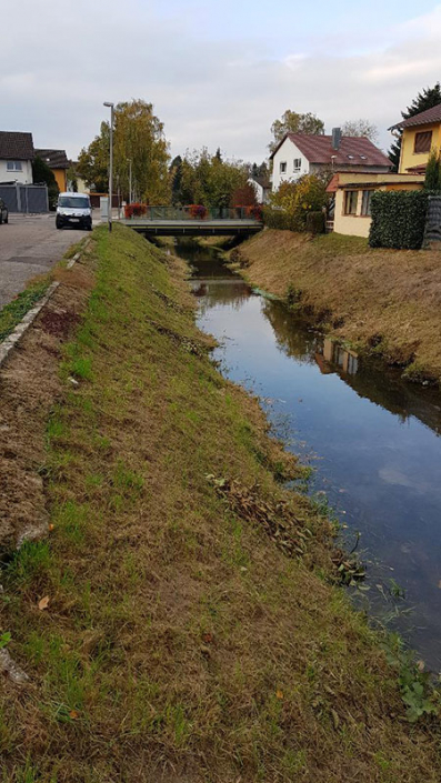 Hasel-Buehl-Baumschneider-Mäharbeiten